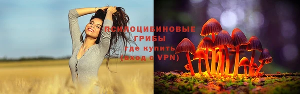 сатива Алексин