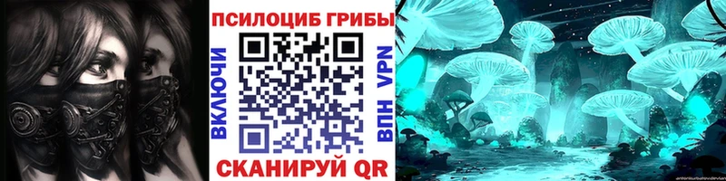 наркотики  Красногорск  omg маркетплейс  Псилоцибиновые грибы прущие грибы 