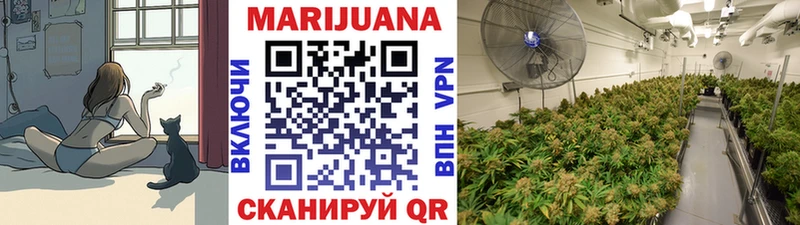 кракен зеркало Красногорск Бошки марихуана OG Kush